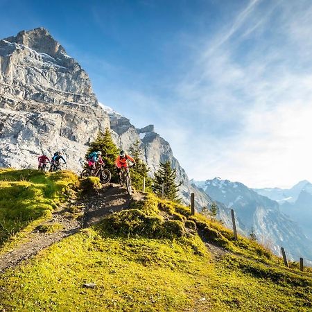 Mountain Lodge Urweider Innertkirchen Eksteriør billede
