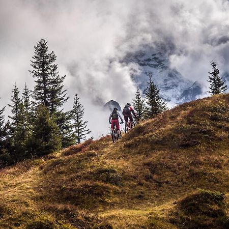 Mountain Lodge Urweider Innertkirchen Eksteriør billede