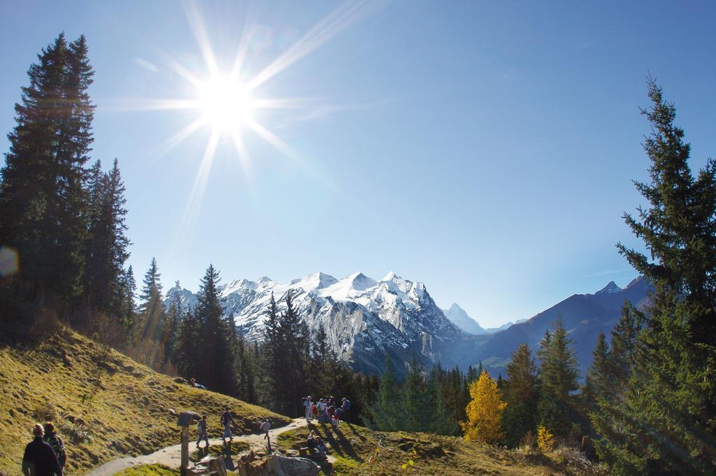 Mountain Lodge Urweider Innertkirchen Eksteriør billede