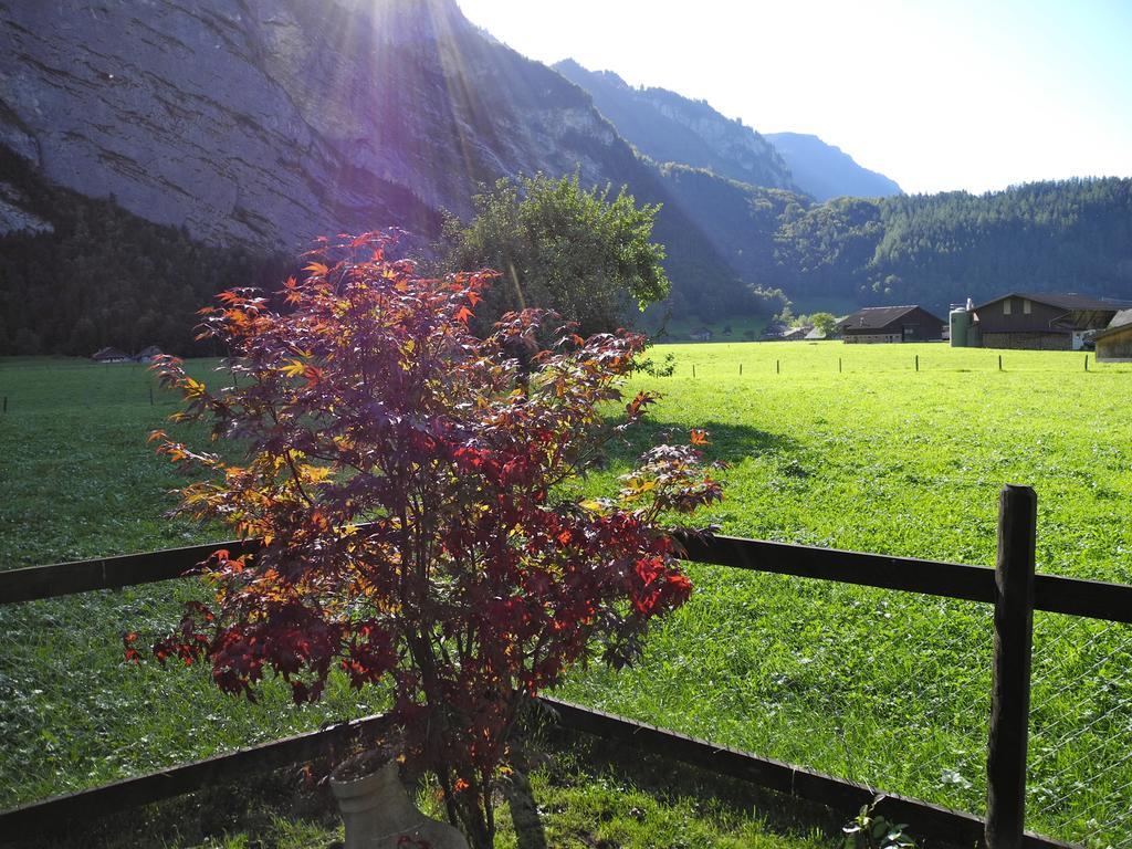 Mountain Lodge Urweider Innertkirchen Eksteriør billede