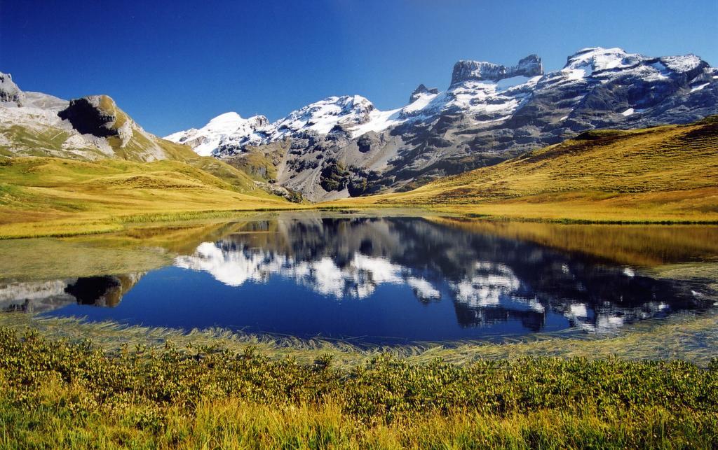 Mountain Lodge Urweider Innertkirchen Eksteriør billede