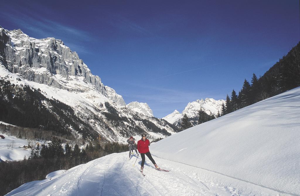 Mountain Lodge Urweider Innertkirchen Eksteriør billede