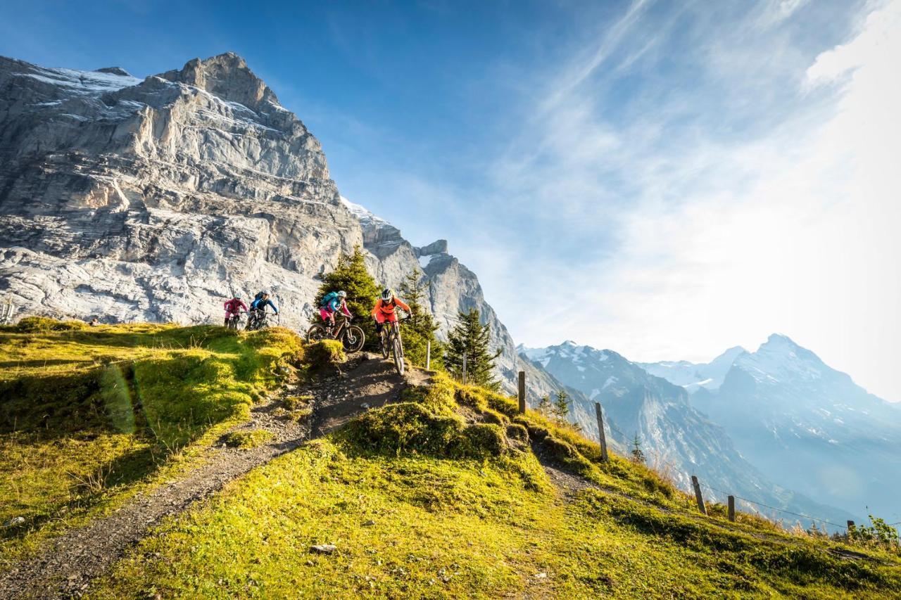 Mountain Lodge Urweider Innertkirchen Eksteriør billede