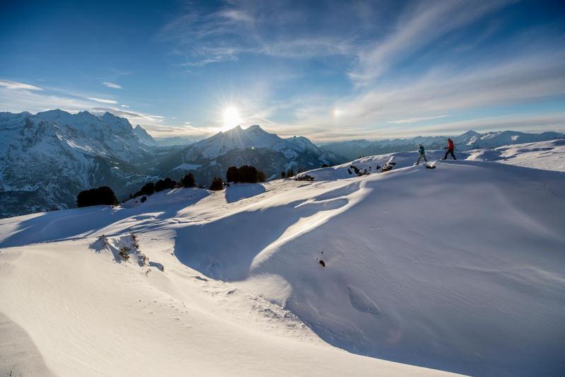Mountain Lodge Urweider Innertkirchen Eksteriør billede