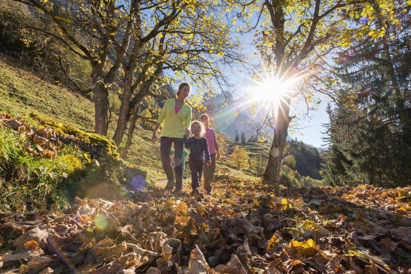 Mountain Lodge Urweider Innertkirchen Eksteriør billede