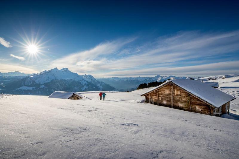 Mountain Lodge Urweider Innertkirchen Eksteriør billede