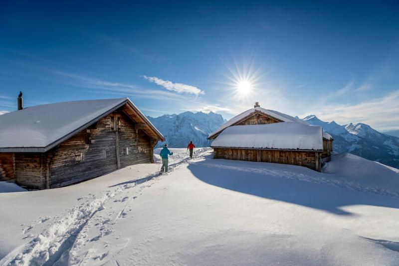Mountain Lodge Urweider Innertkirchen Eksteriør billede