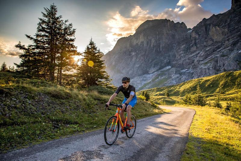 Mountain Lodge Urweider Innertkirchen Eksteriør billede