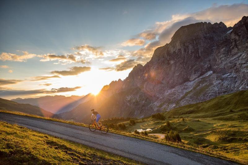 Mountain Lodge Urweider Innertkirchen Eksteriør billede